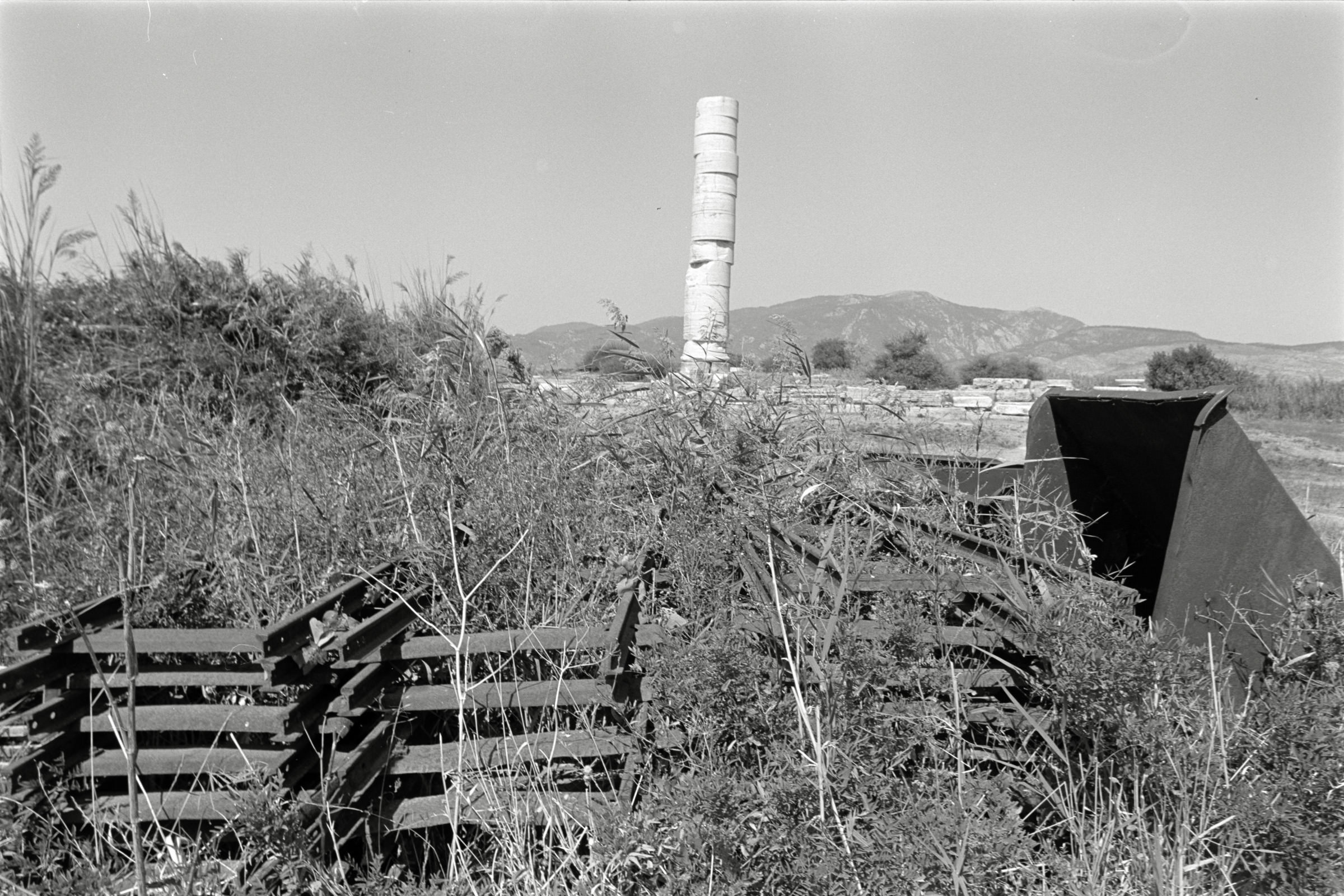 AHP F1991 09 003 sc240914 img04 NLP